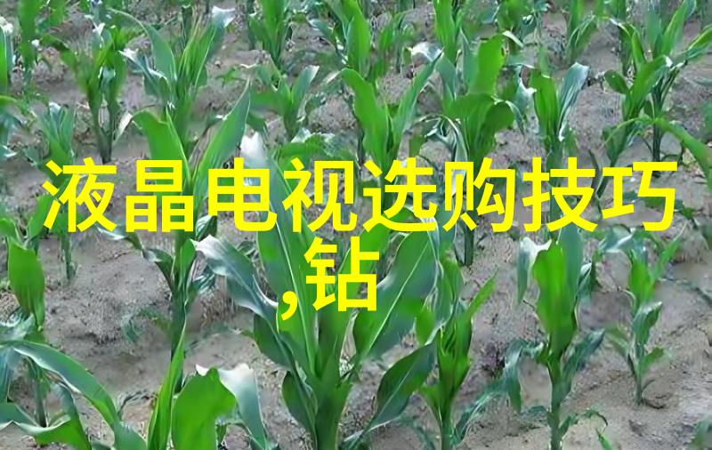 河心舟影