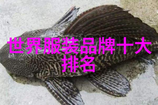 为何一颗心号钻石被认为是世界上最璀璨的宝石之一