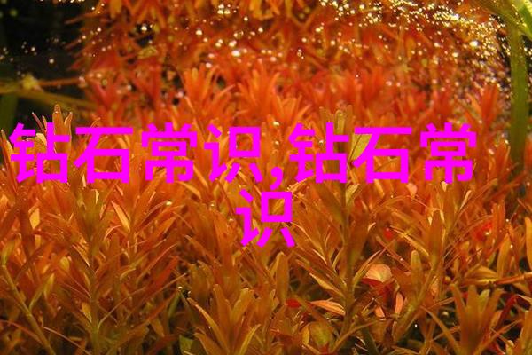 中鹏珠宝设计培训你的创意之旅开始了