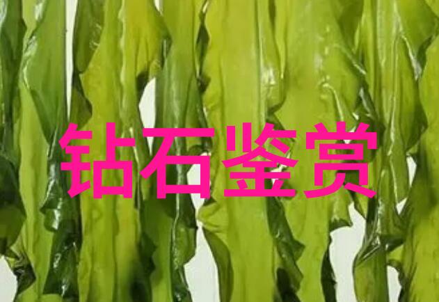 安全工程技术与管理高效风险评估与控制