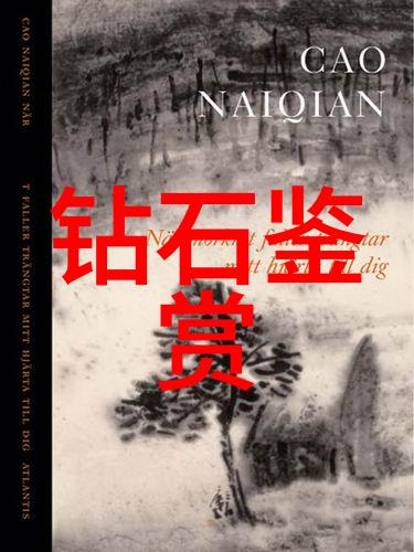 文化的丰富内涵传统文化现代文化国际文化交融
