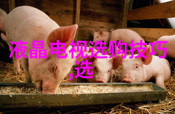 翡翠在不同季节需要怎样调整养护措施以适应气候变化