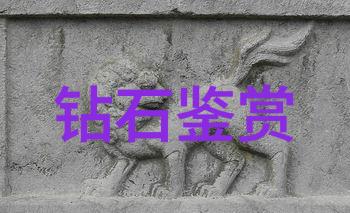 历史上的一个意外司马光的那场偶然事件