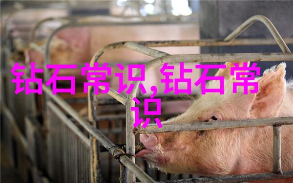 当企业实施新工艺流程时可能遇到哪些挑战和问题