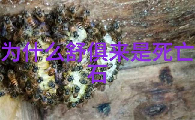 主题你知道吗这次的中国企业500强排名名单出了什么新鲜事儿