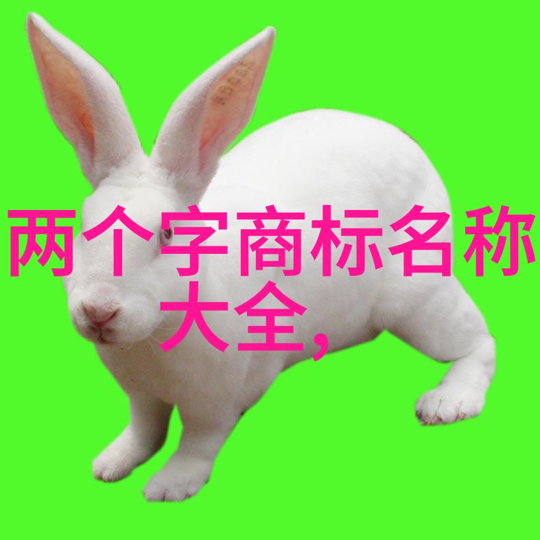翡翠品鉴证书正规国检认证的翡翠宝石证明图片