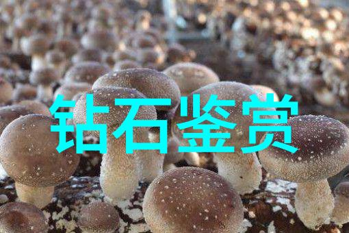 探索古今寓言宝库揭秘那些深藏意义的故事