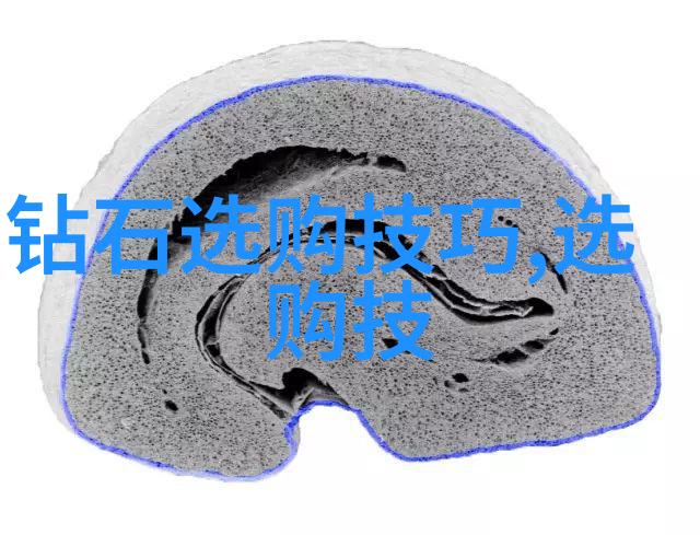 探索友谊深度朋友姐姐完整视频带来的翻译奇遇