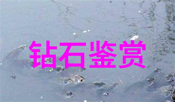 风俗禁忌-左手不戴揭秘女性玉手镯佩戴的传统禁忌