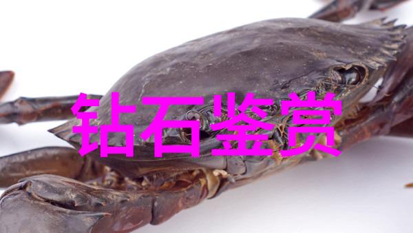 表现艺术-颜值与才华并重当啥表现成为时代的新标准