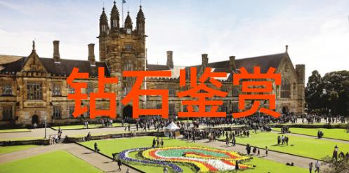 心疼儿子的成长与治愈