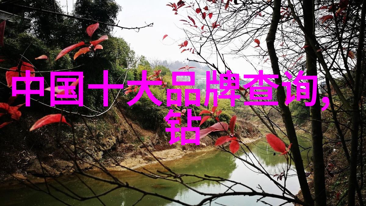 财富再分配与增长策略研究世界最有钱国家的内在动力