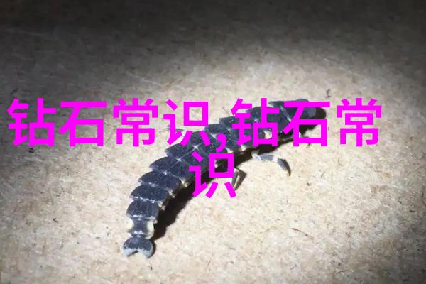 好找工作的专业我是怎样成为人人羡慕的求职高手