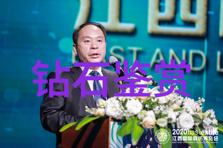 电影艺术-镜头背后的指挥者探索导演的艺术与智慧
