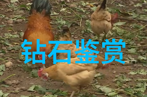 手工艺匠与科技结合新一代真假翡翠鉴定工具探索