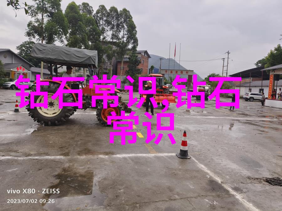 冰川下的秘密揭开世界钻石产量之冠的神秘面纱
