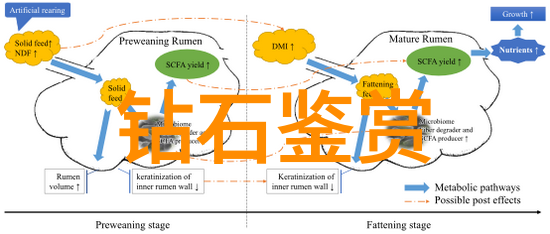 天山冰翠的秘密探索这奇特矿石的独特属性与应用