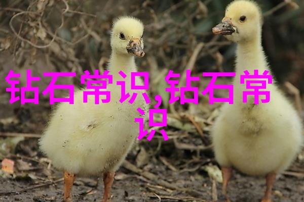 文化和旅游部办公厅我在这里给你介绍一个超有趣的秘密基地
