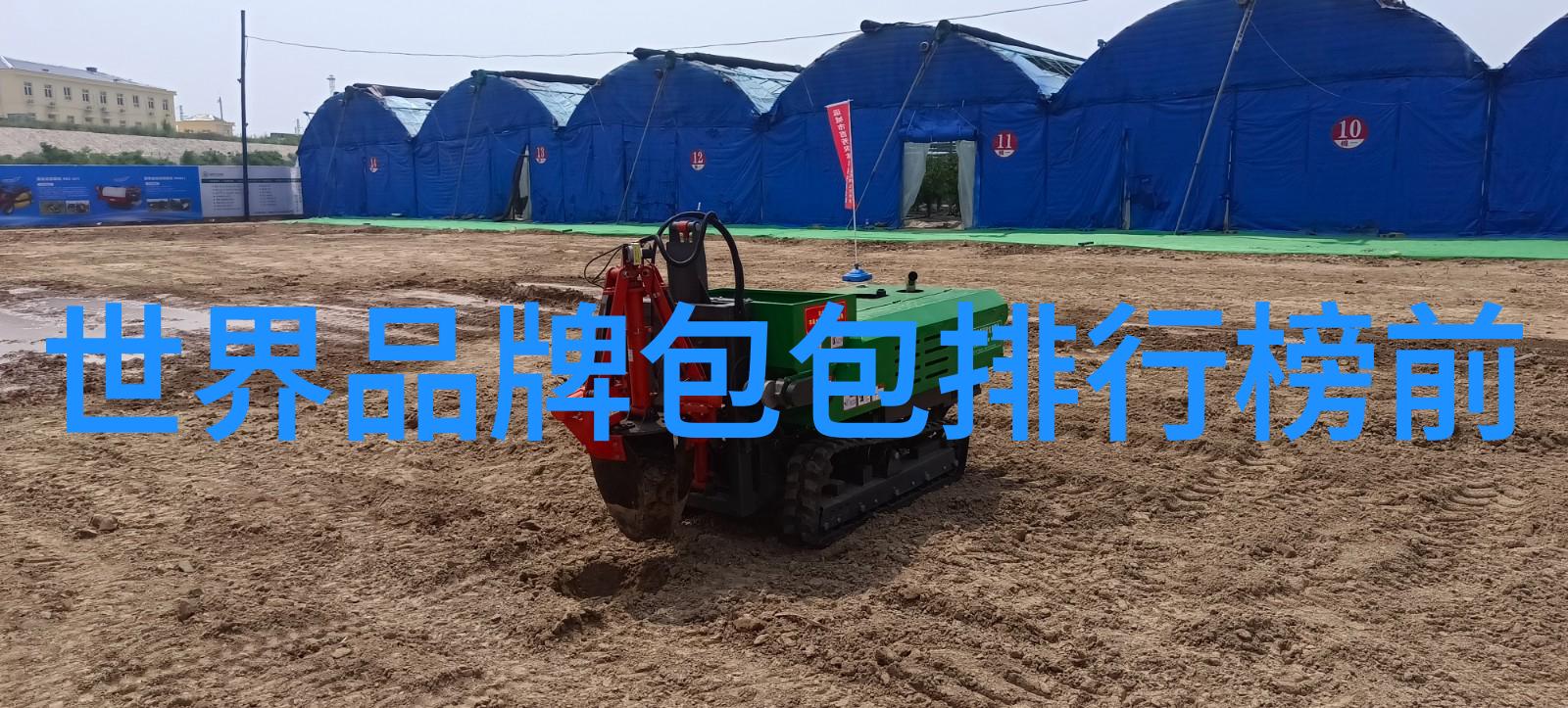 东陵玉隐秘的光芒与明亮的谎言