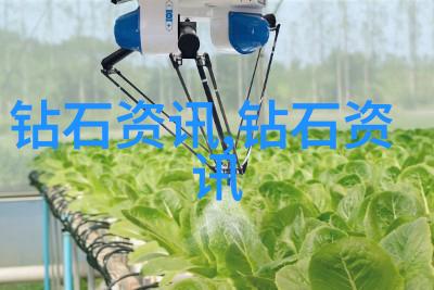 宝庆银楼我在这里找到了一场回忆的盛宴
