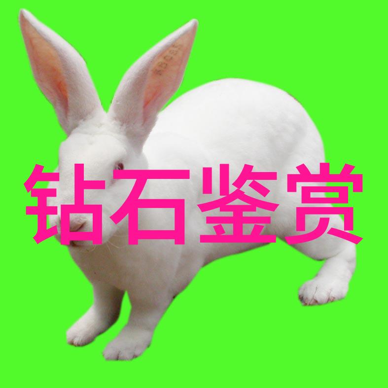 清明上河图中的缸盖英雄司马光的故事