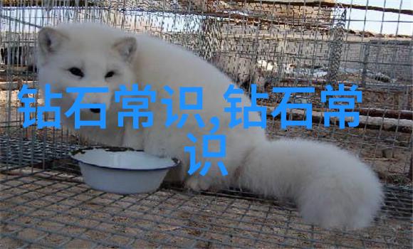 婚纱设计我眼中的完美婚礼之裙从梦想到现实的穿梭舞步