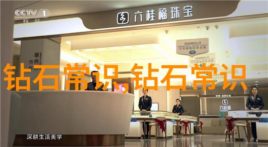 探索中华文明的根基文化定义与国家认同