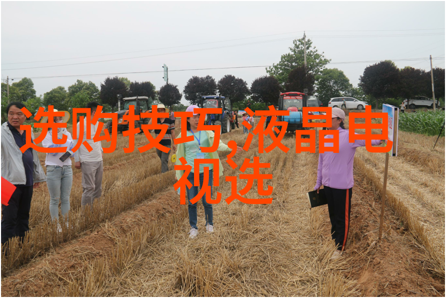 夜深人静时分笔尖轻颤的秘密
