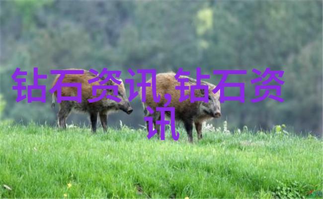 工艺秘笈未解之谜与隐秘的编写模板