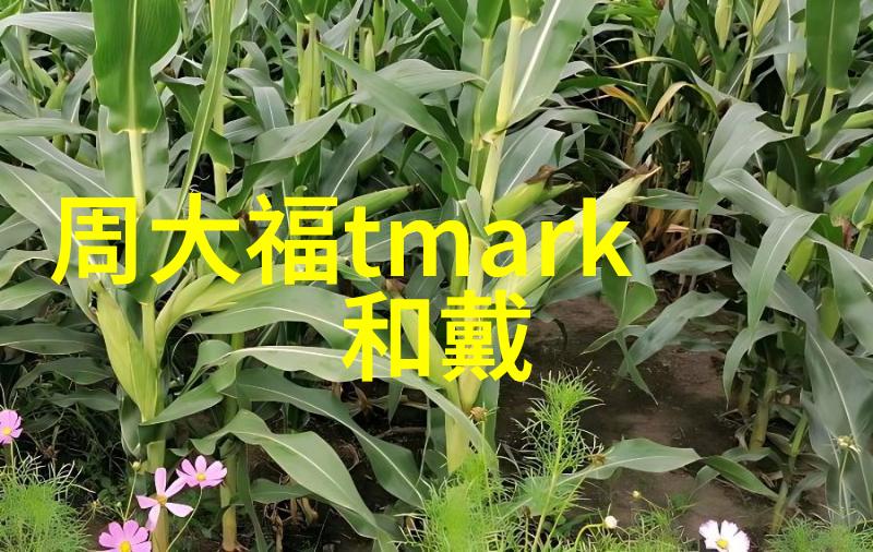 工艺之韵织就创造的轮廓