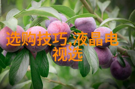 闪耀手艺世界技能大赛的珠宝加工狂欢