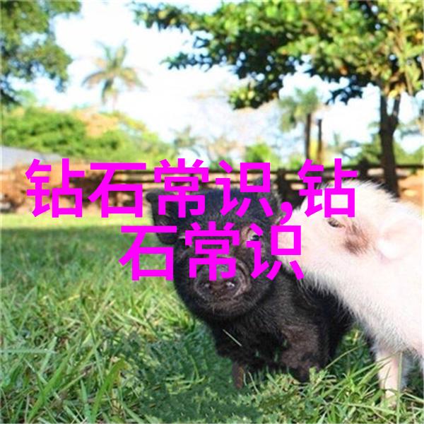 画地为牢txt我的数字囚笼