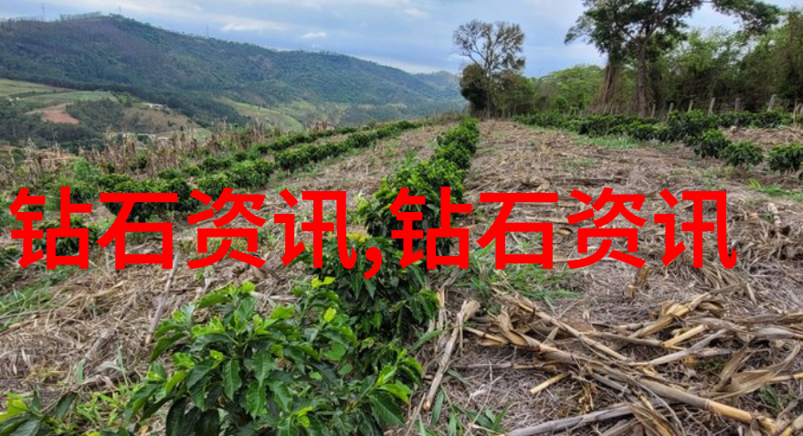 医药行业资讯我的健康小秘密新一代抗癌药物即将上市
