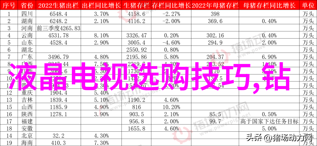 闪耀的霓虹揭秘世界第一钻石的笑料与传奇