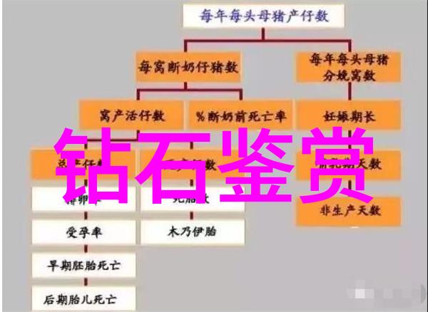 探索中华优秀传统文化的奥秘百年沉淀中孕育出的智慧与魅力
