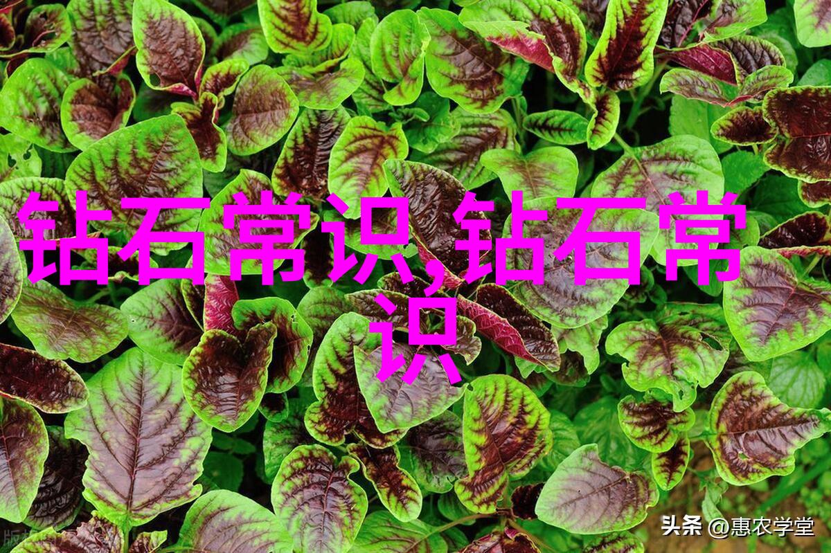穿梭千界快穿攻略名配器叠加之旅