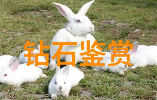 工艺工程师证书的秘密考验揭开考试之谜