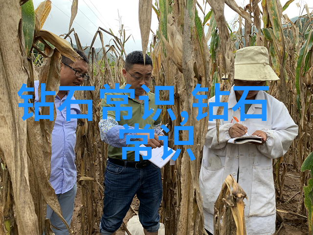 室内艺术设计我是如何在家中创造一片艺术天地的