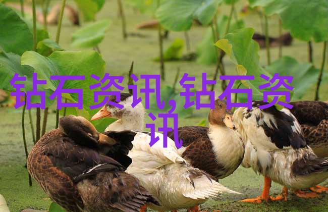 糖心出品VLOG一区二区我来带你走进这两块金子般闪耀的内容地带