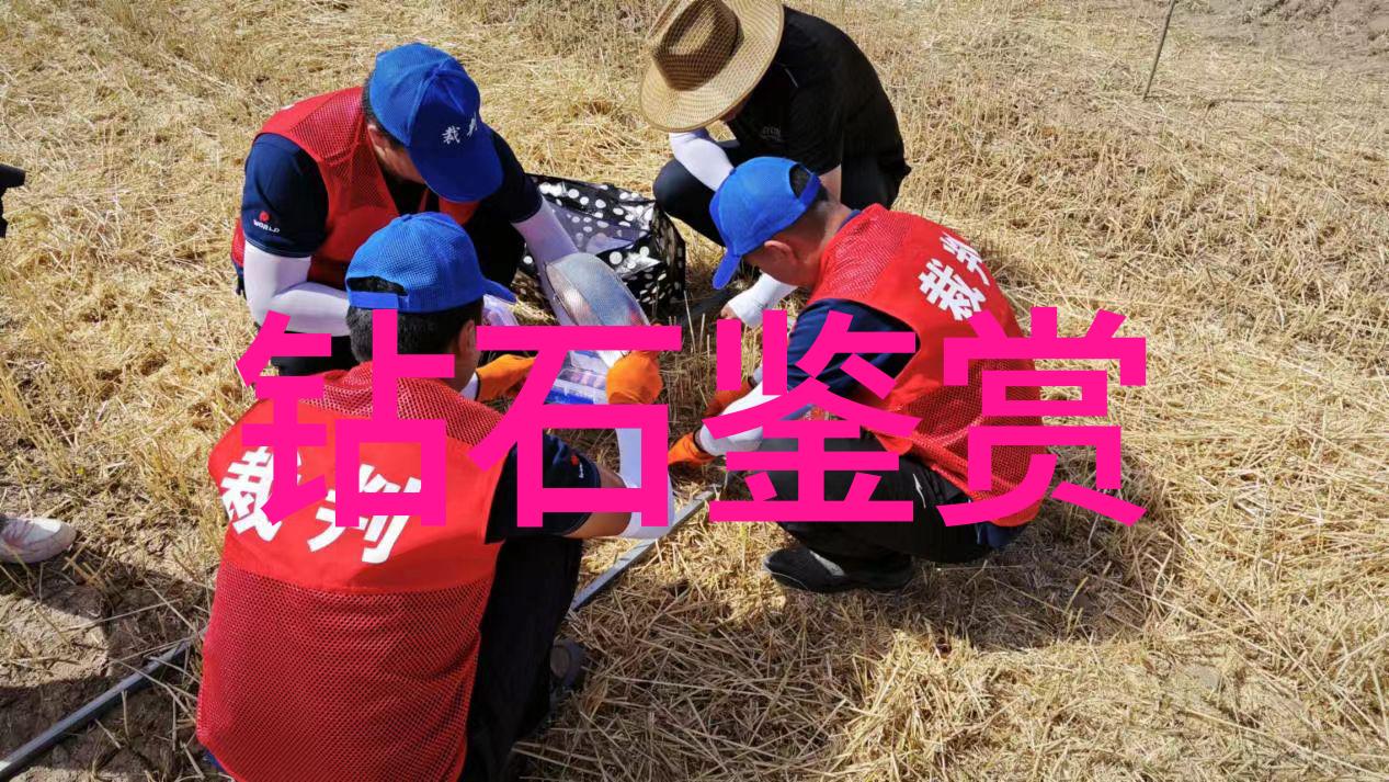 梦幻婚礼定制钻戒让爱情更璀璨