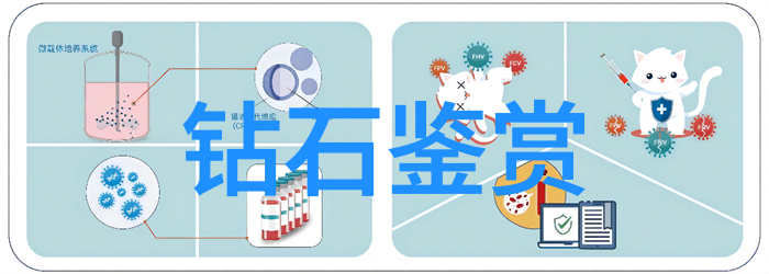 探索表现力从表象到内涵的艺术旅程