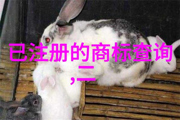 翡翠真假辨别指南揭秘如何鉴定真正的翡翠