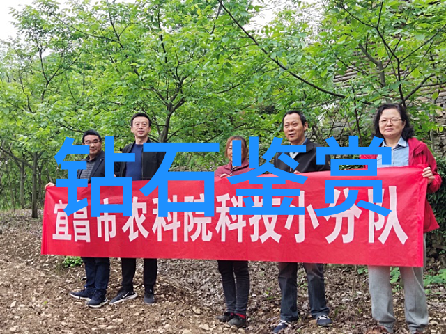 七个小矮人与蓝宝石矿洞