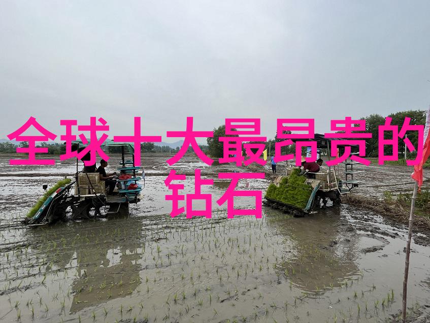 机械设计-千套机遇探索1000套机械毕业设计的创新与挑战