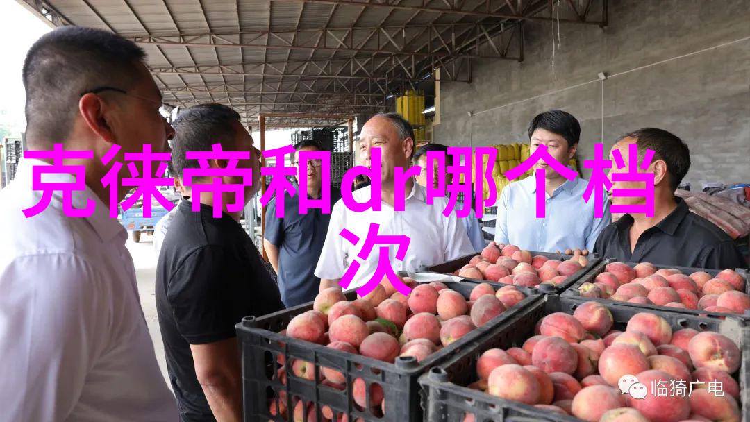 穿梭千界快穿攻略师与命运之轮的叠加