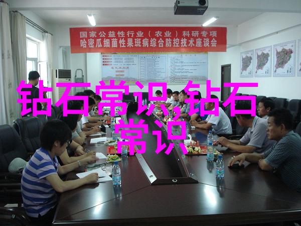 工艺工程师职业的挑战与机遇探索其在现代工业中的地位和潜力