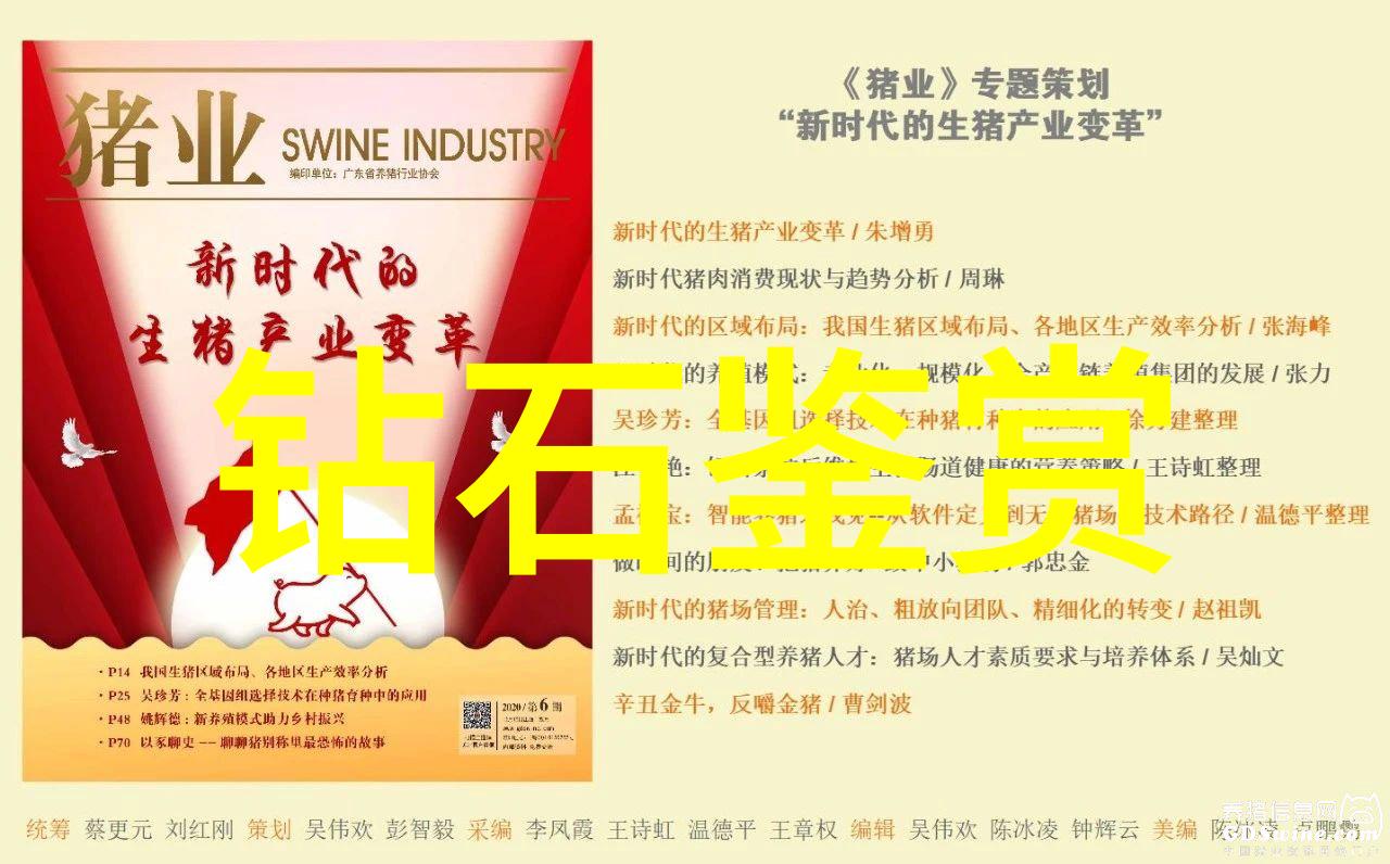小小作家的大冒险