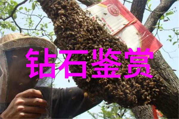 爱的印记璀璨婚戒的故事