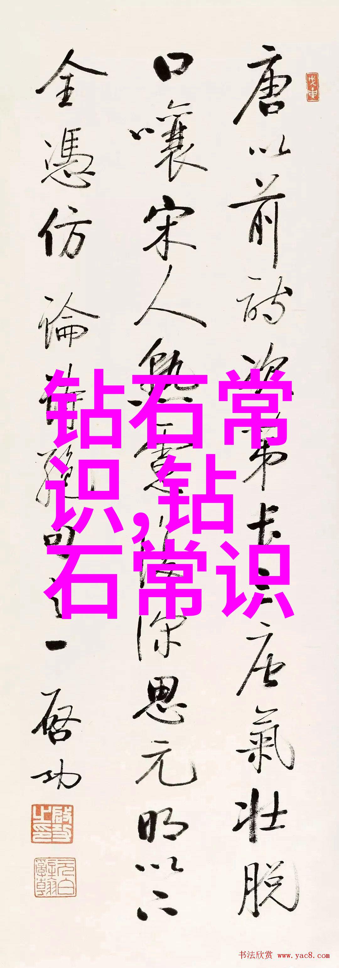 夜幕下的奇遇月光下的花园守望者