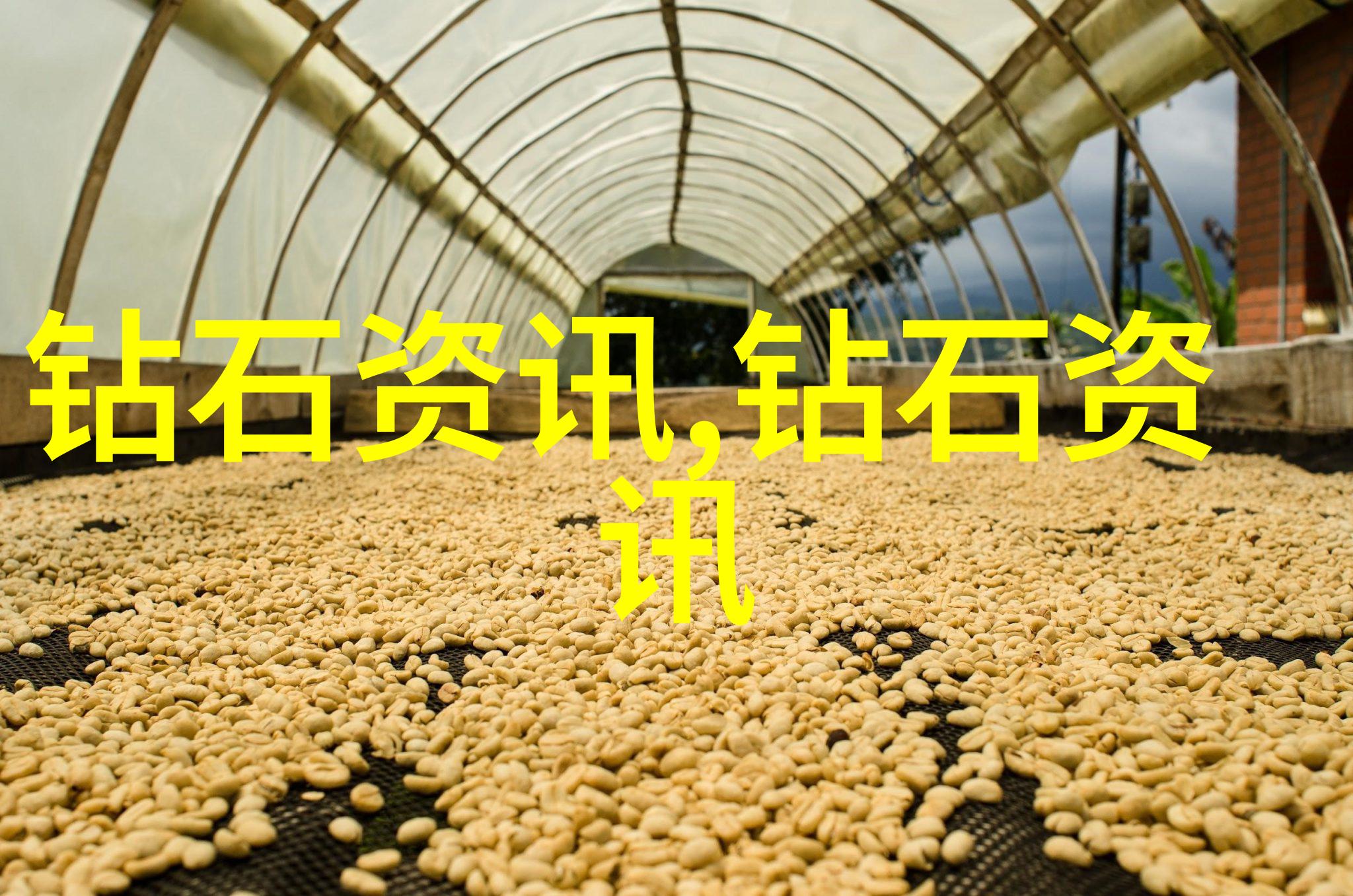 一站式原石鉴定与咨询服务让您心安理得